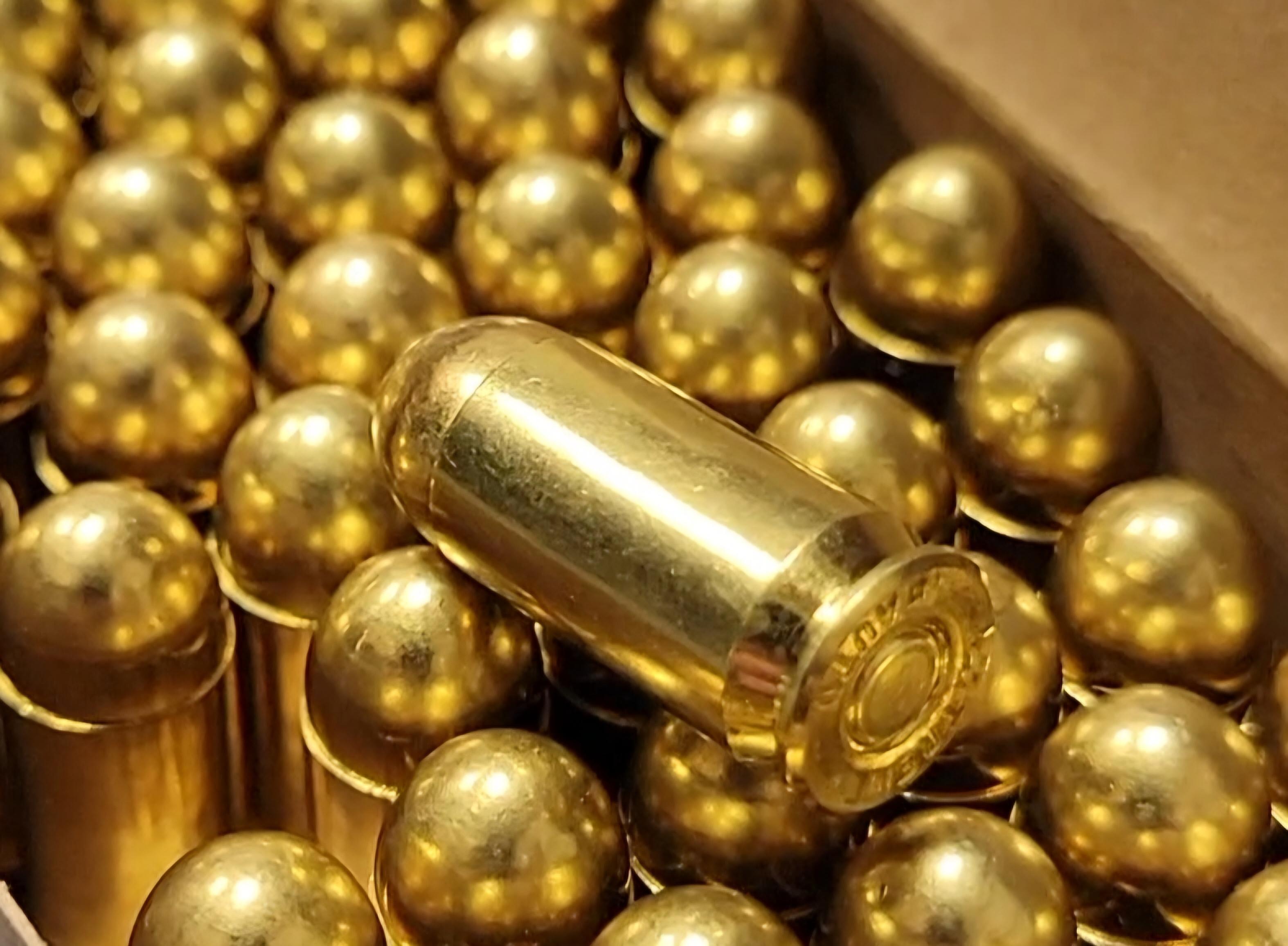 Hand Gun Ammunition 45ACP 230gr Round Nose image 1