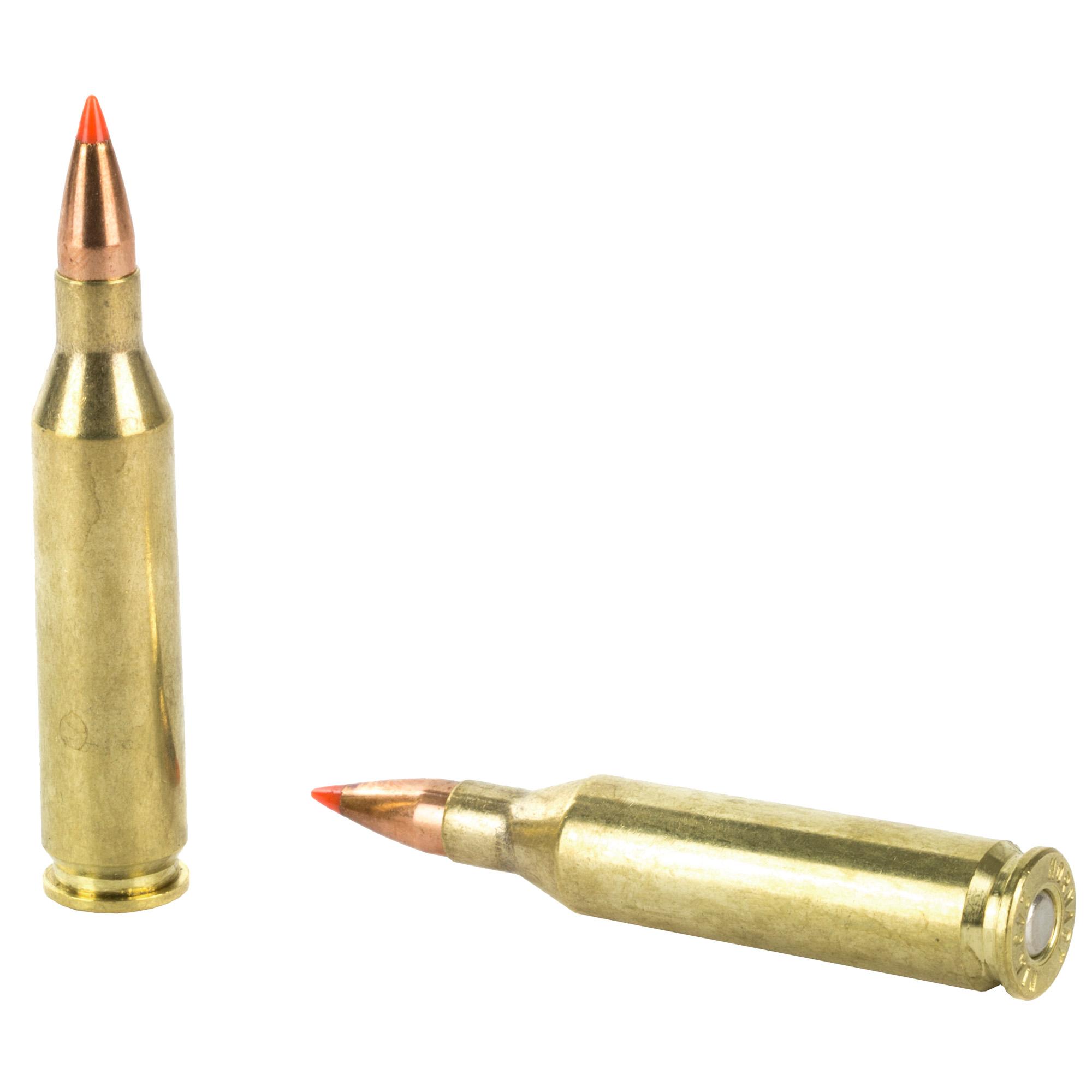 Rifle Ammunition HRNDY SF 243WIN 58GR VMAX 20/200 image 4