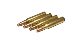 Rifle Brass Reloading 223 Remington brass reloading service image 1