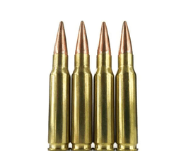 Inert / Dummy Ammunition Inert – 7.62x51mm Dummy rounds (20 Rounds) image 1