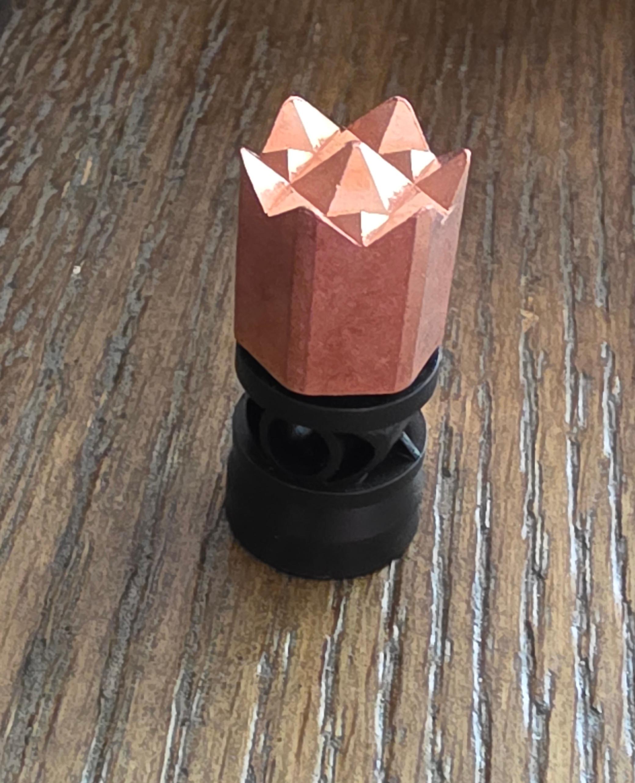 Shot Shell Ammunition Tenderizer Slug image 4