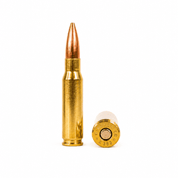 Rifle Brass Reloading 308 Winchester brass reloading service image 1