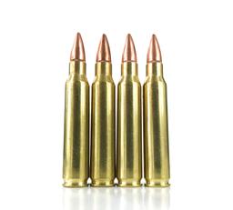 Rifle Ammunition Inert – 5.56 NATO Dummy rounds image 1