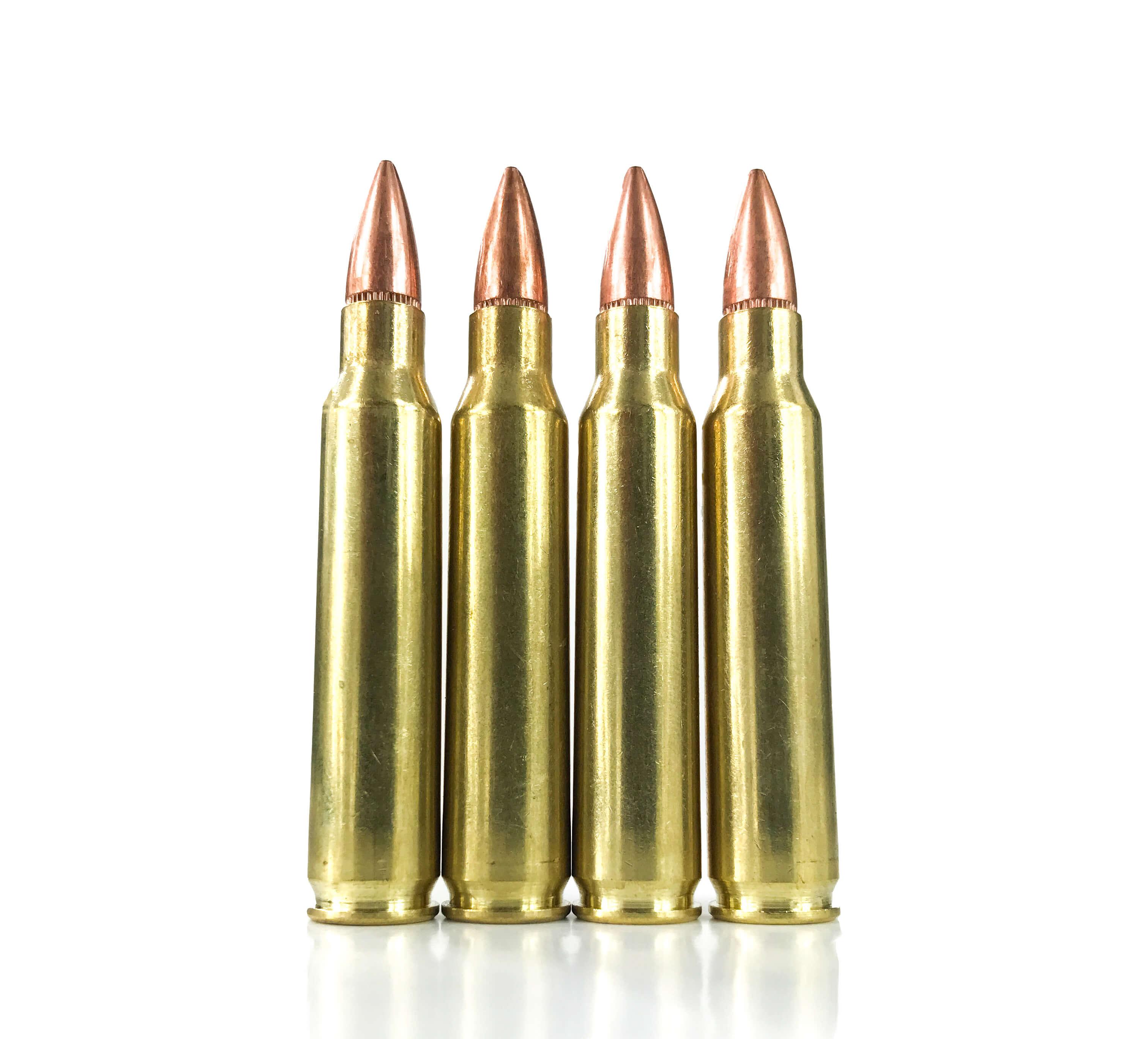Rifle Ammunition Inert – 5.56 NATO Dummy rounds image 1