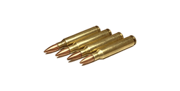 Rifle Brass 223 Remington brass reloading service image 1