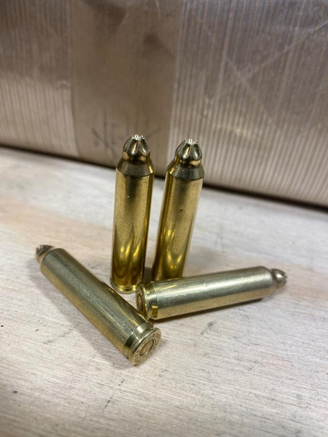.223 Remington Blanks – Reliable Training & Simulation Rounds